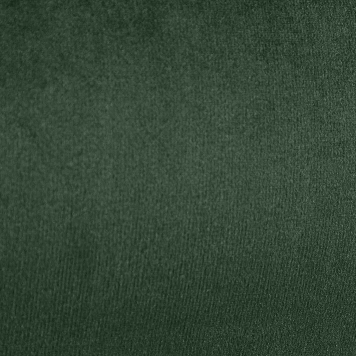 Fabric Sample