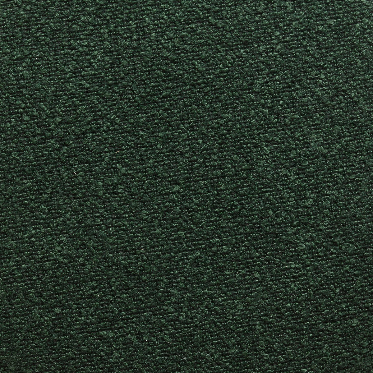Fabric Sample