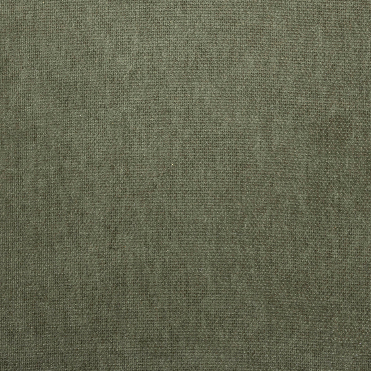 Fabric Sample