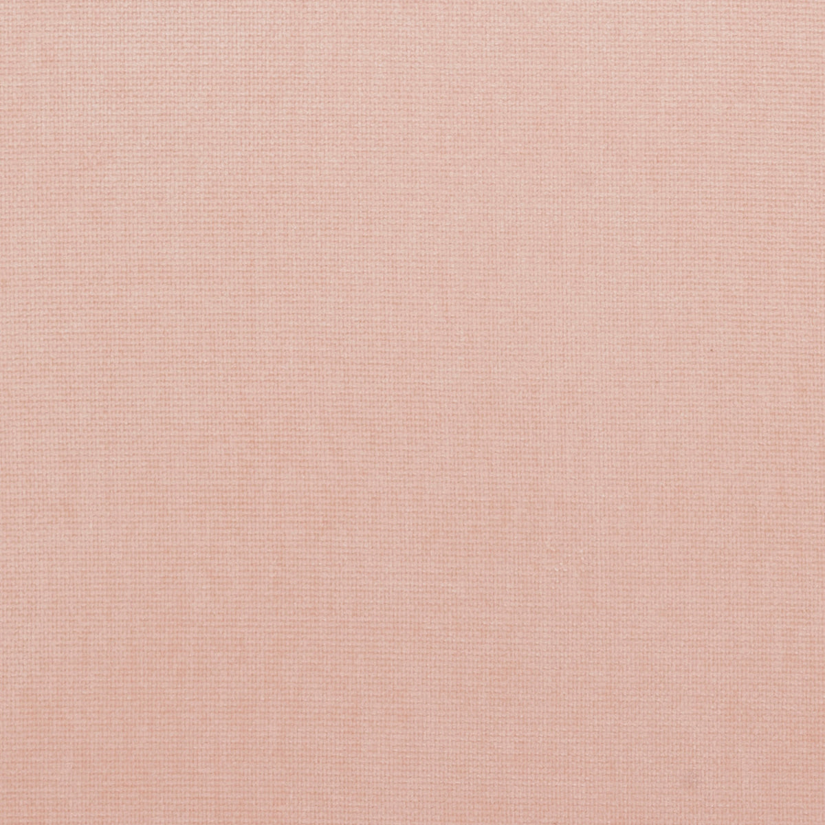 Fabric Sample