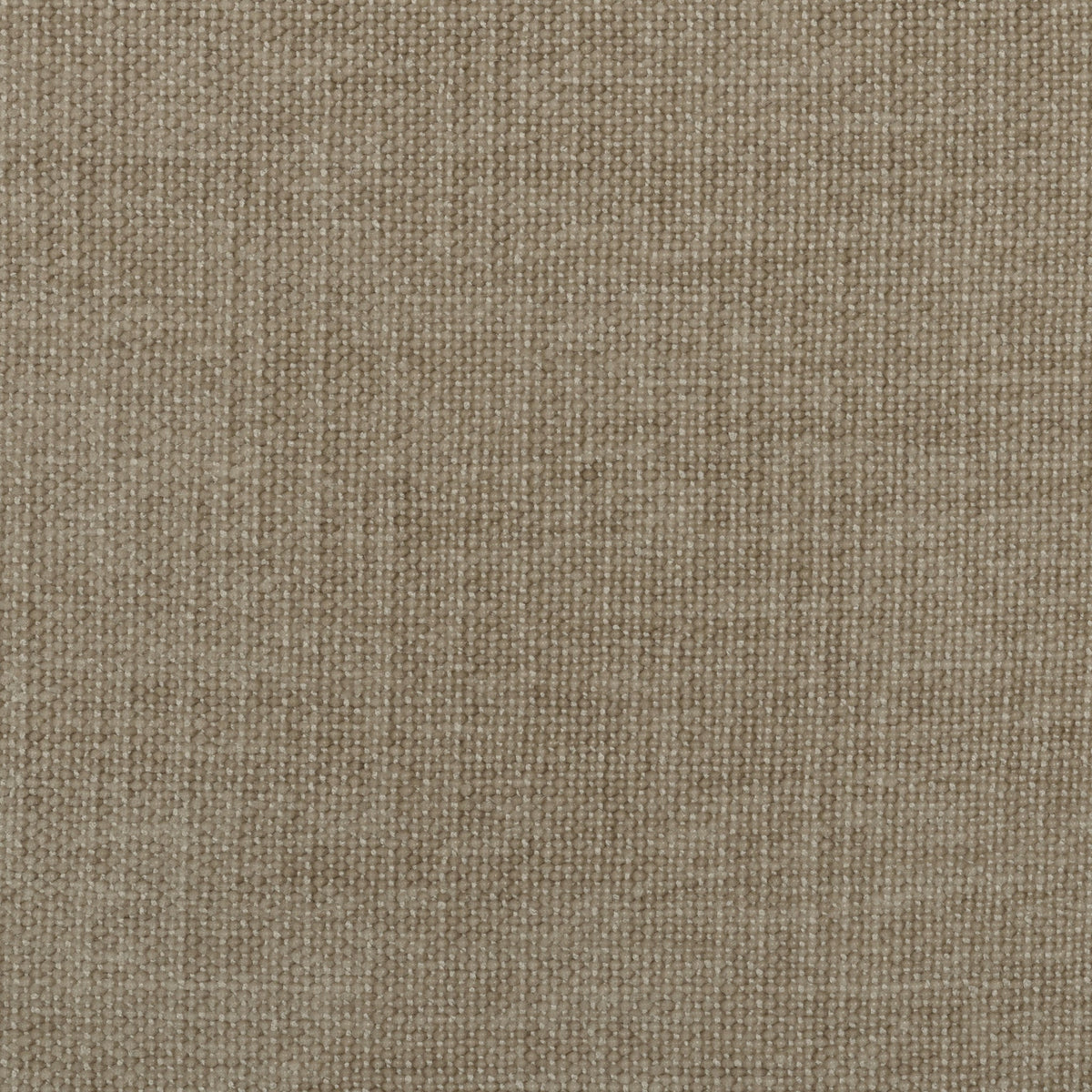 Fabric Sample