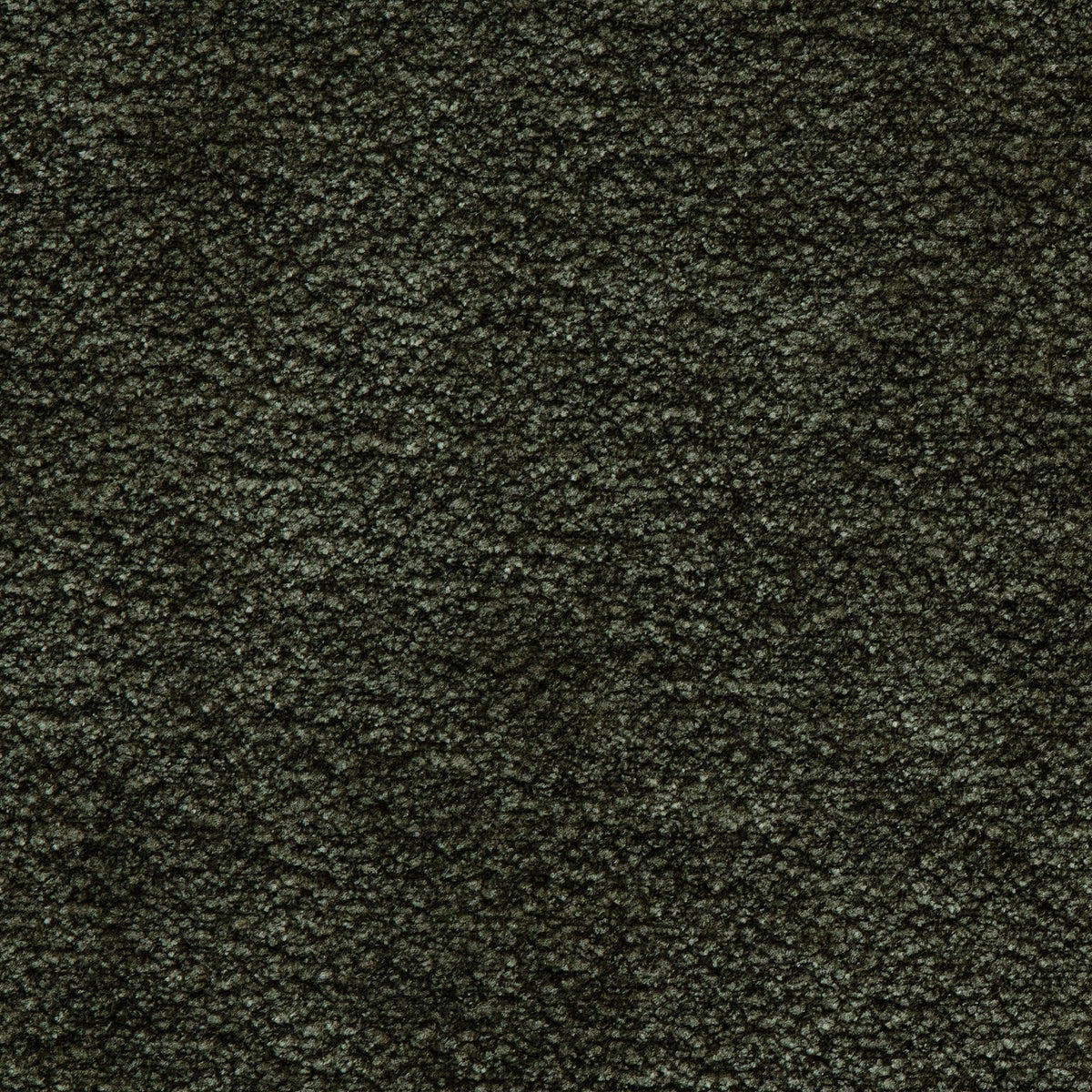 Fabric Sample
