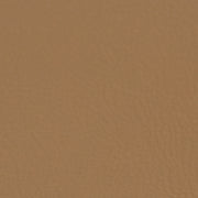 Fabric Sample