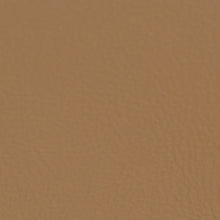Fabric Sample