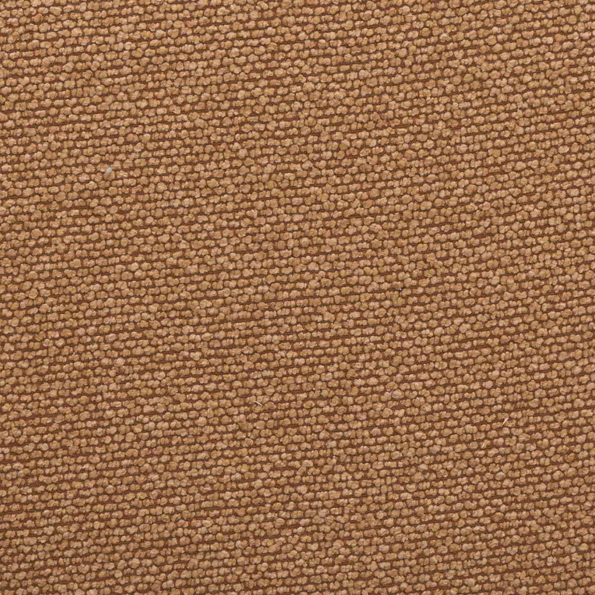 Fabric Sample