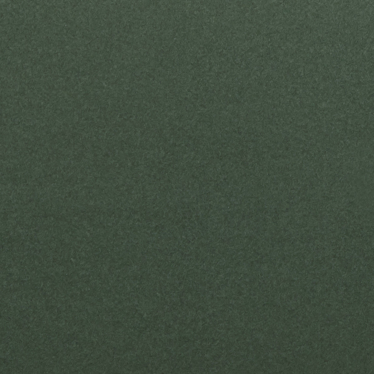 Fabric Sample