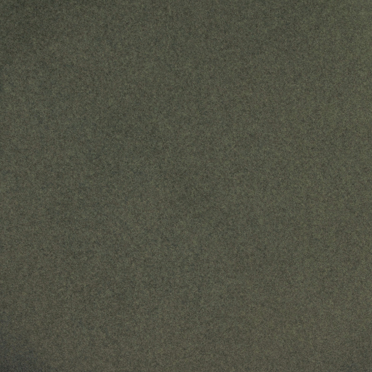 Fabric Sample