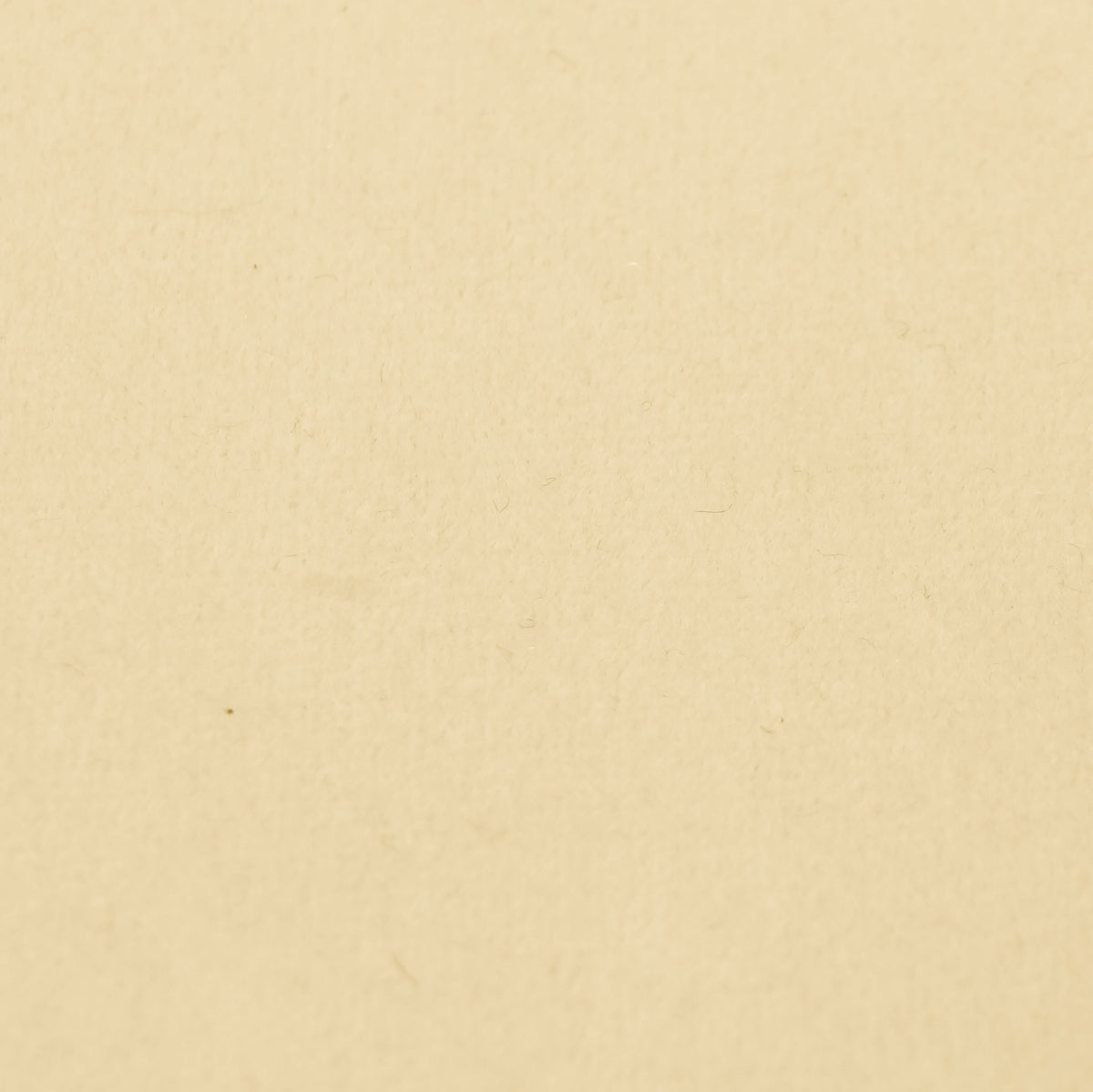 Fabric Sample