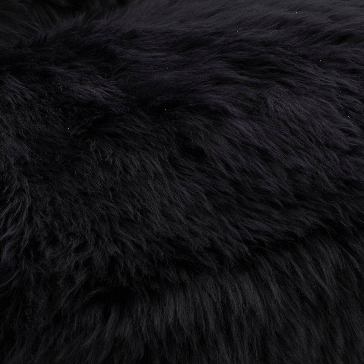 Fabric Sample