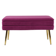 Ziva 31" Velvet Storage Bench