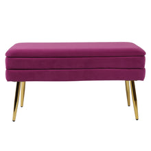 Ziva 31" Velvet Storage Bench