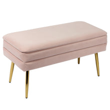 Ziva 31" Velvet Storage Bench