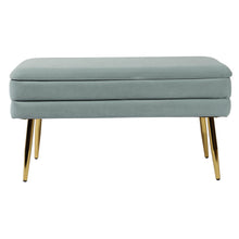 Ziva 31" Velvet Storage Bench