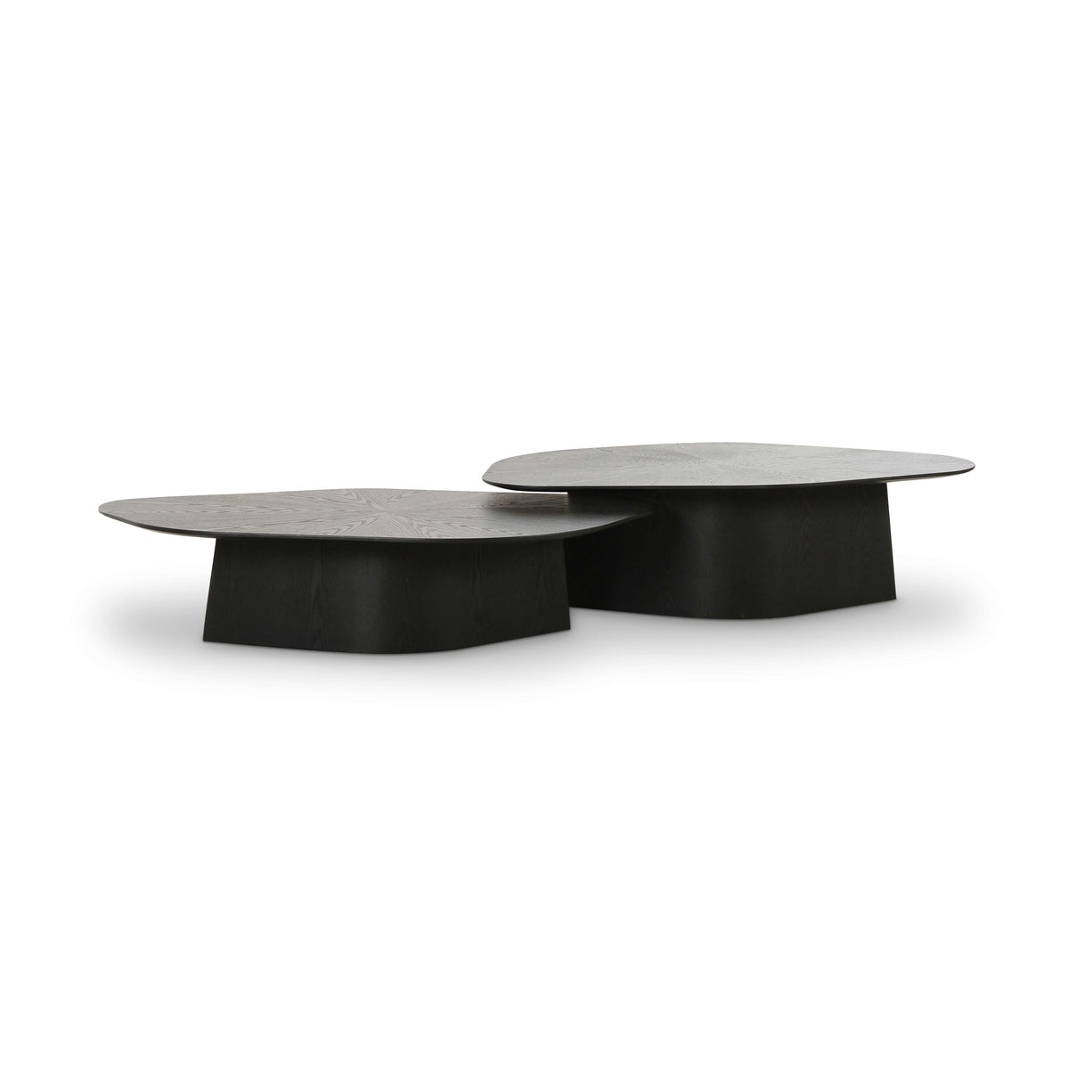 Roche 2-Piece Ash Nesting Coffee Table Set