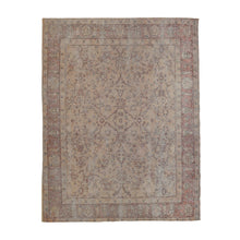 Eden Area Rug