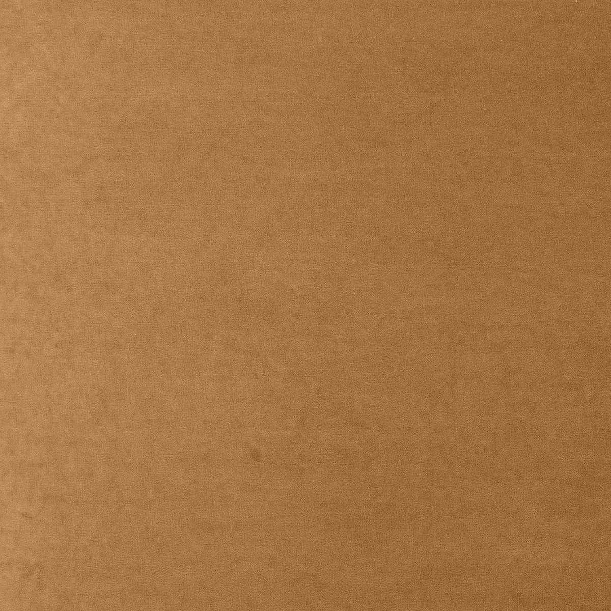 Fabric Sample