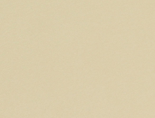 Fabric Sample