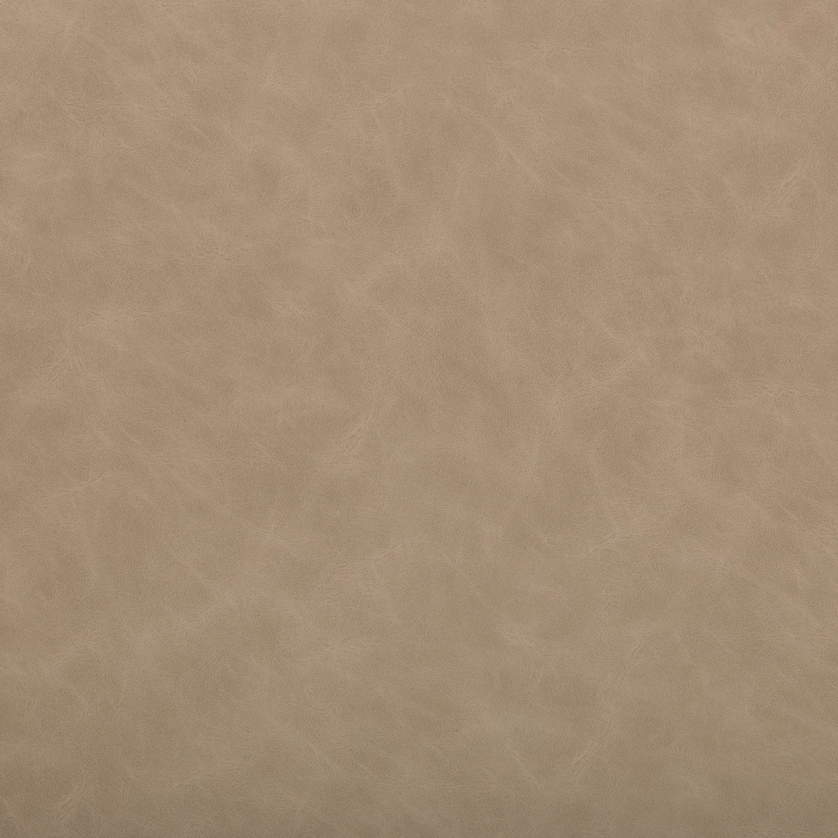 Fabric Sample