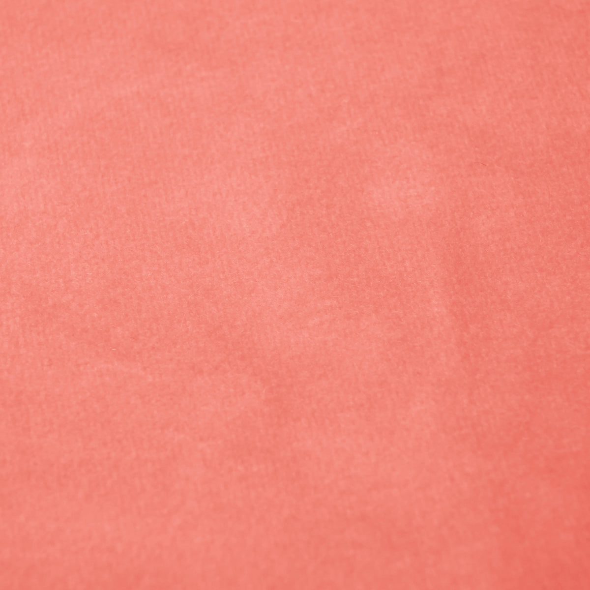 Fabric Sample