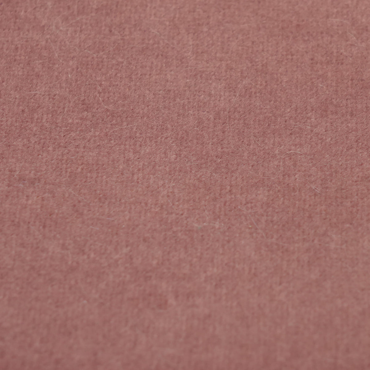 Fabric Sample