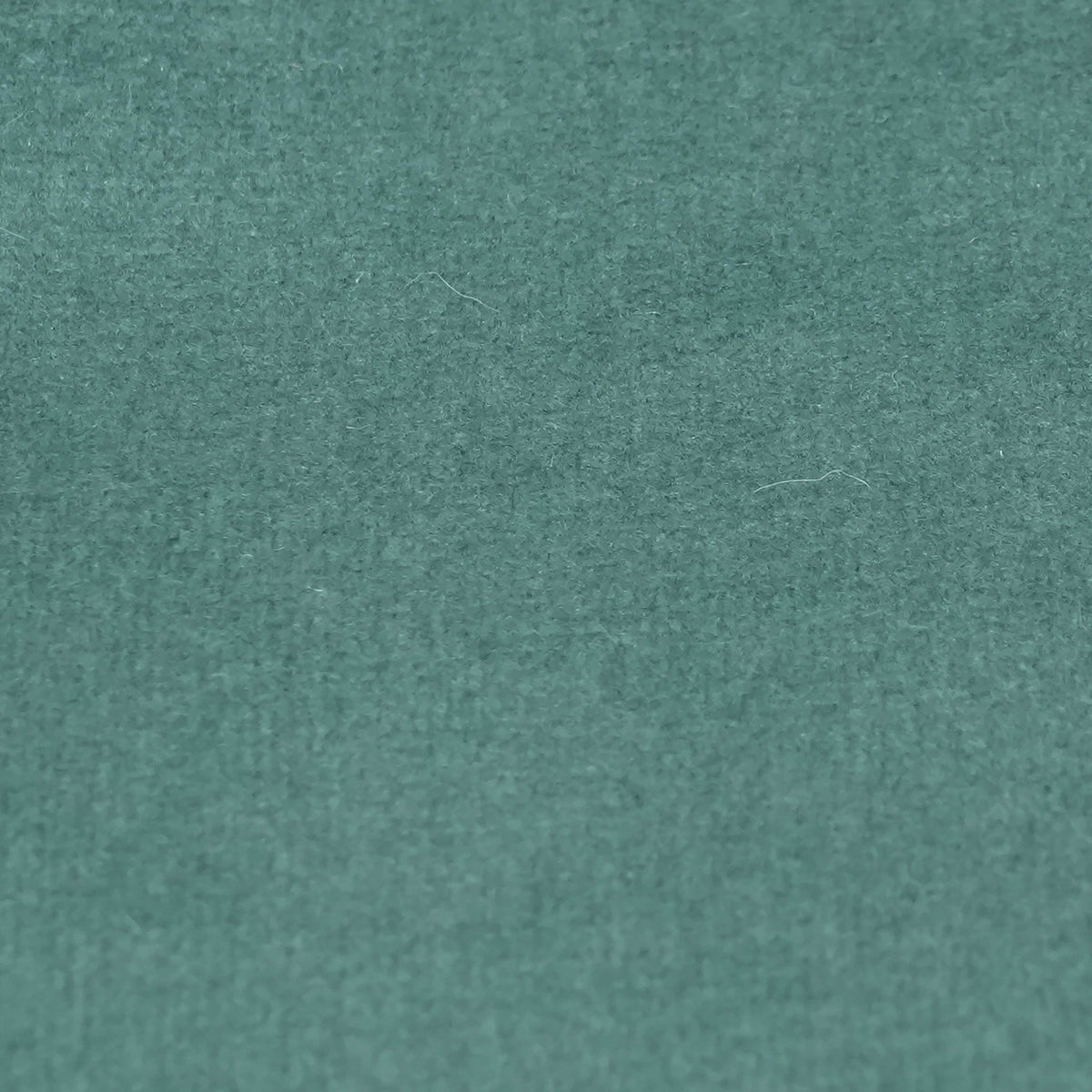 Fabric Sample