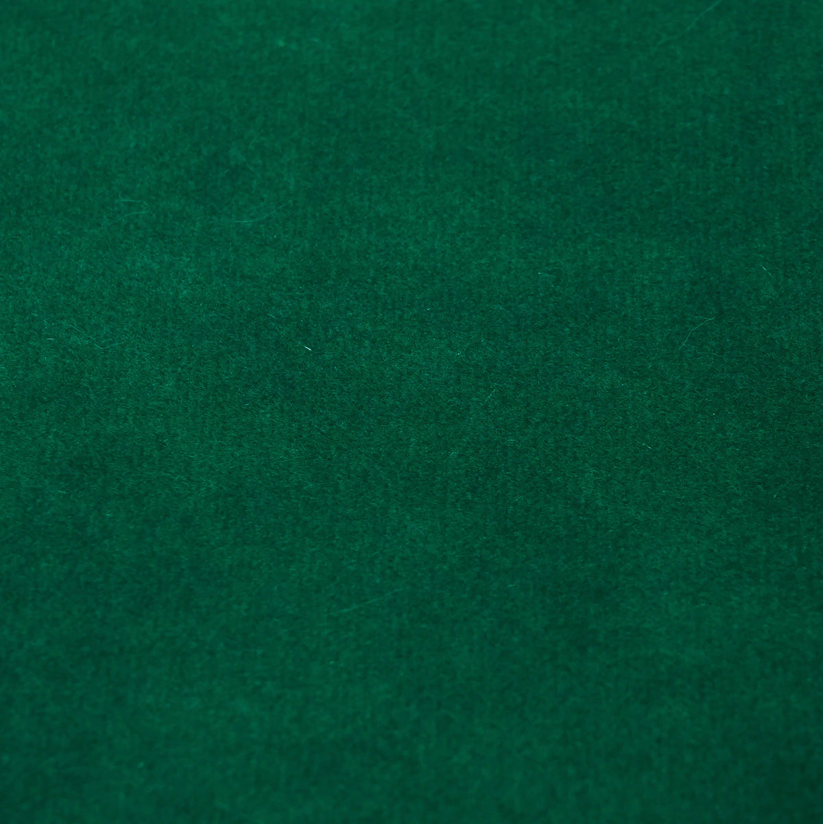 Fabric Sample