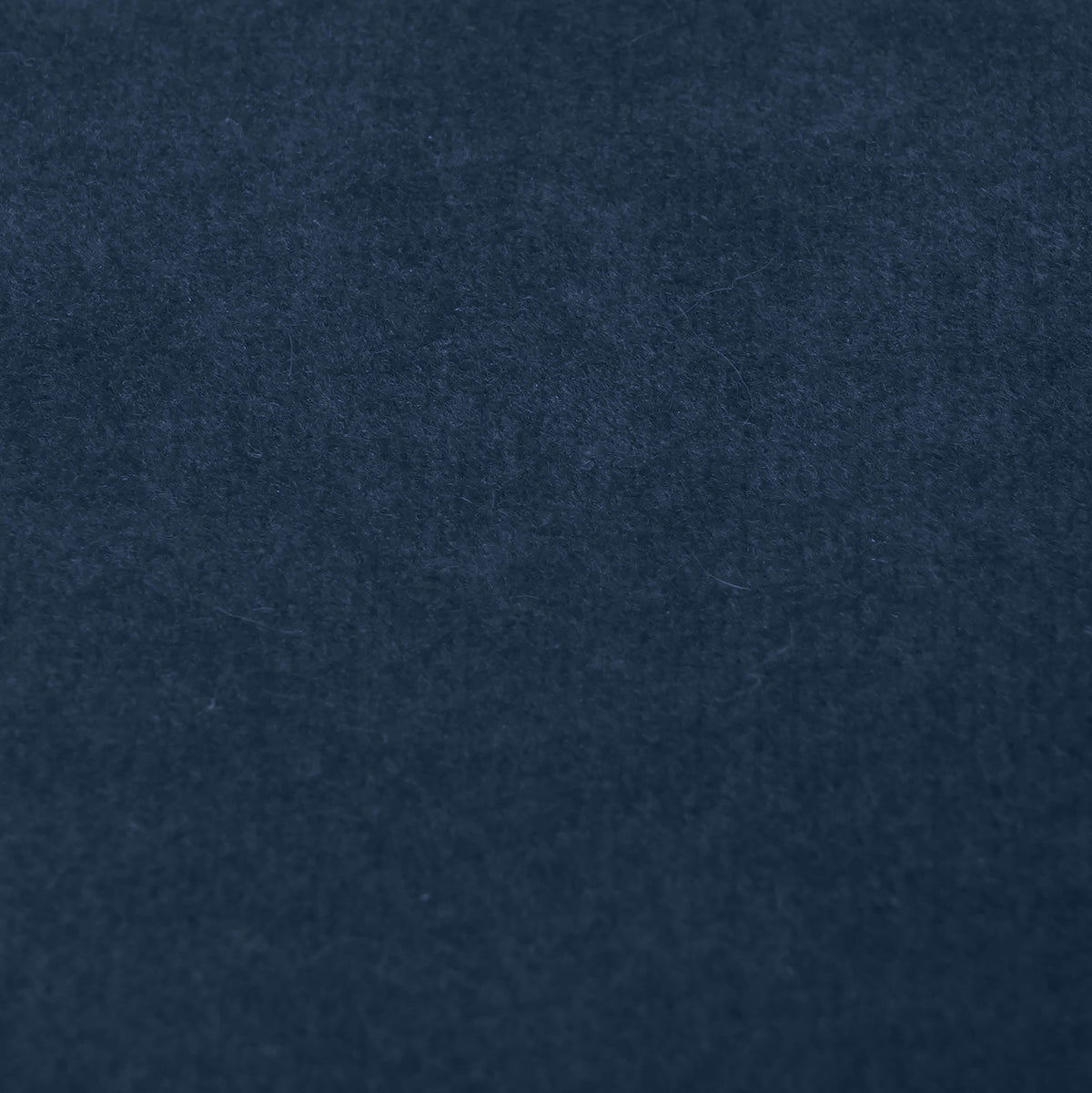 Fabric Sample