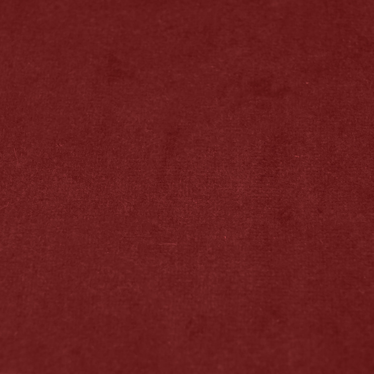 Fabric Sample