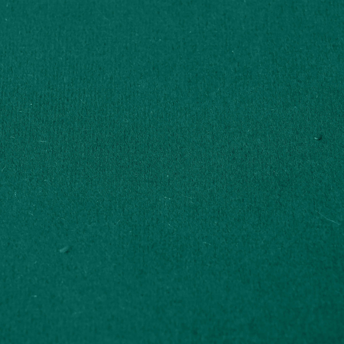 Fabric Sample