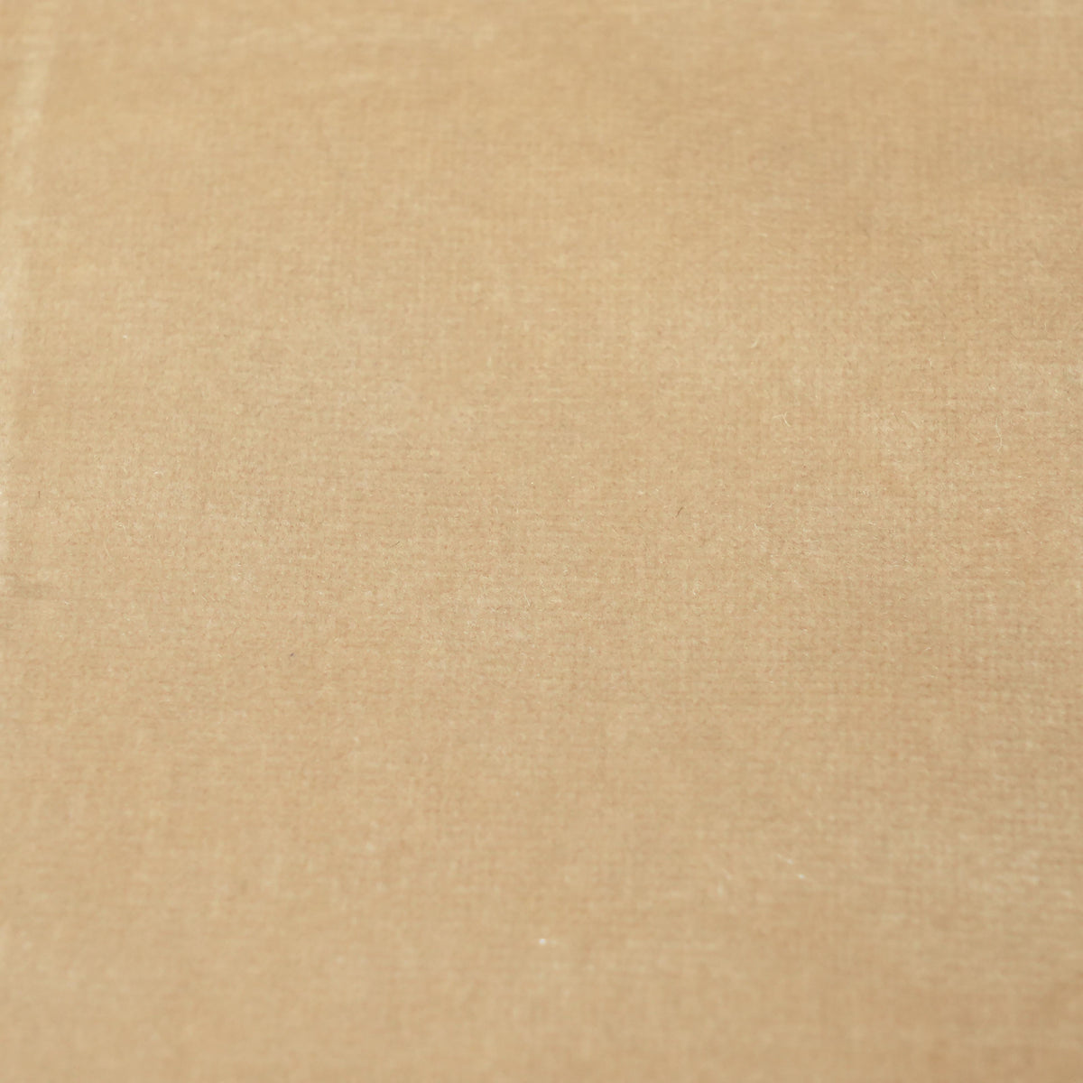 Fabric Sample