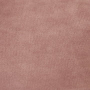 Fabric Sample