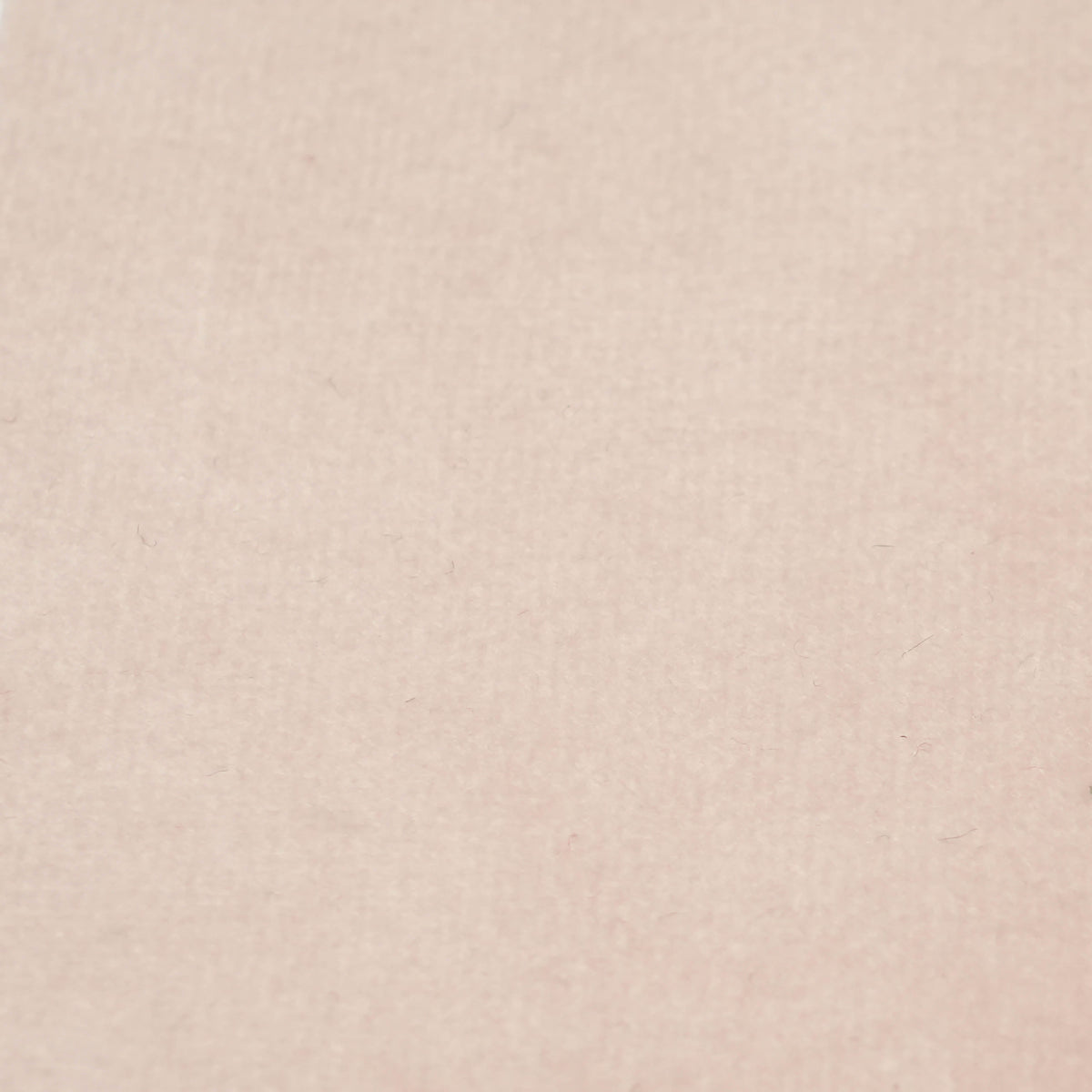 Fabric Sample