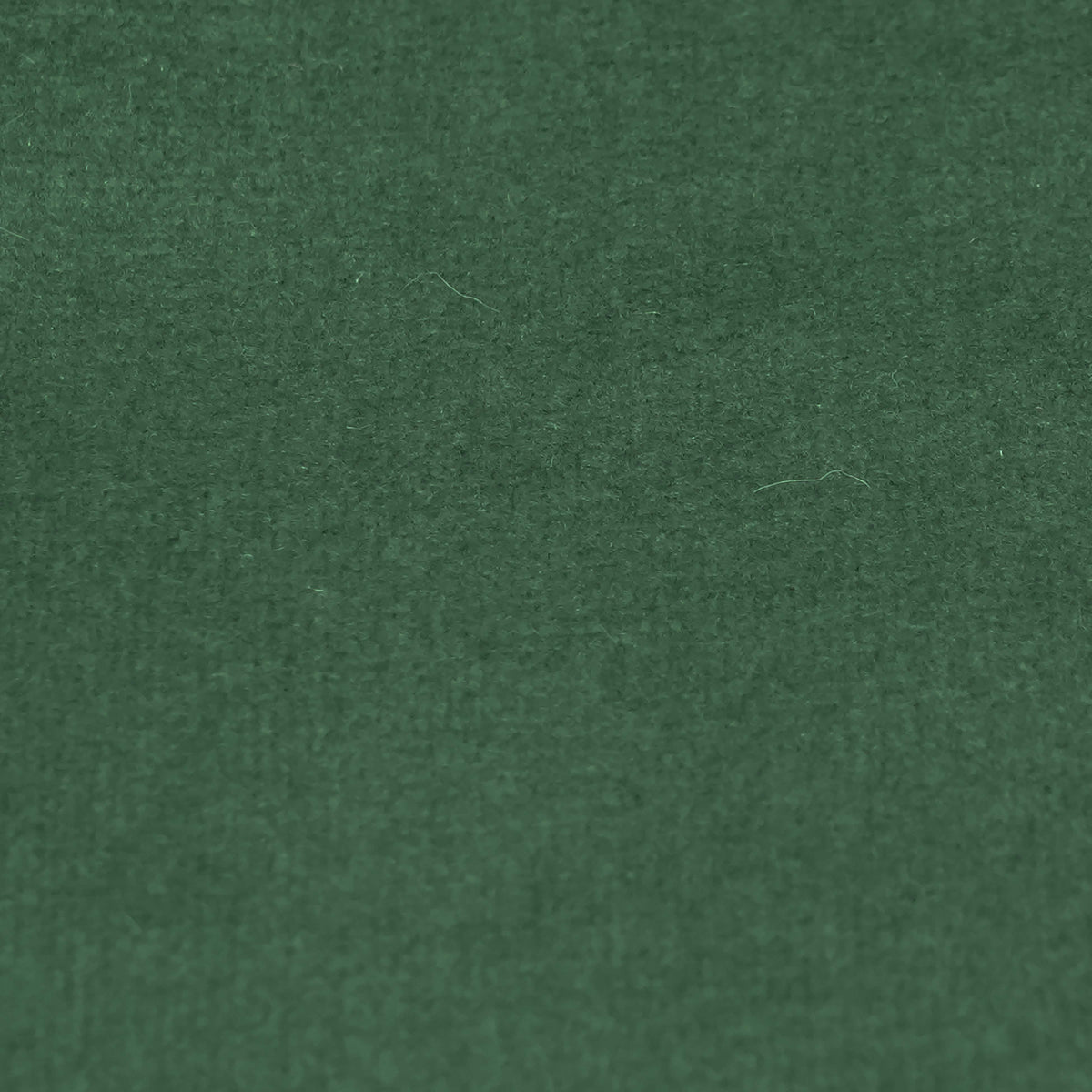 Fabric Sample